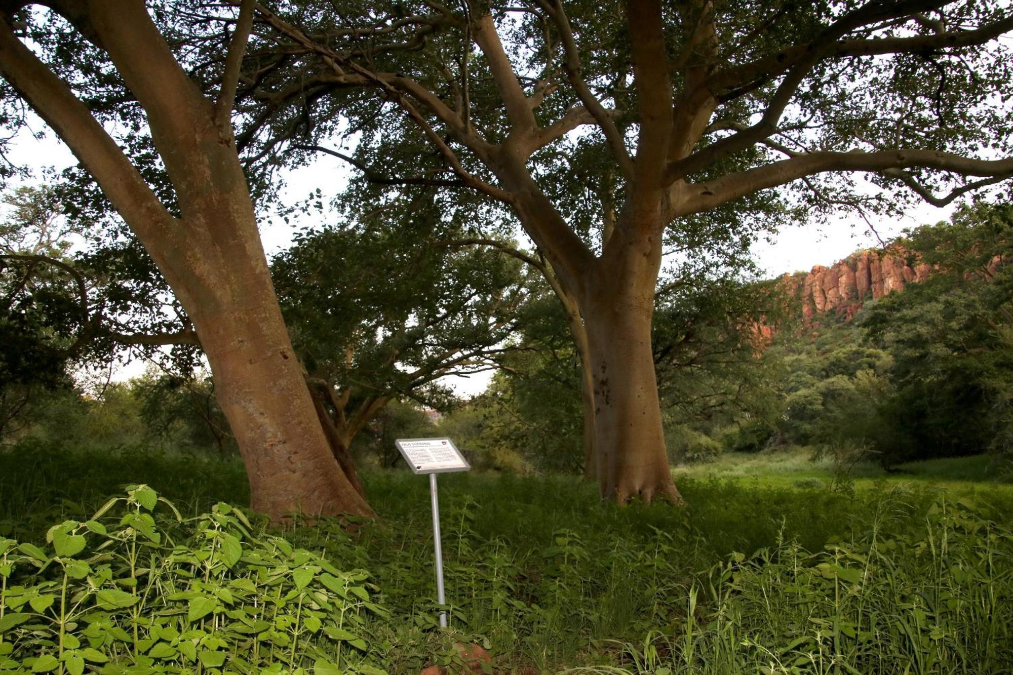 Villa Waterberg Wilderness - One Namibia Exterior foto