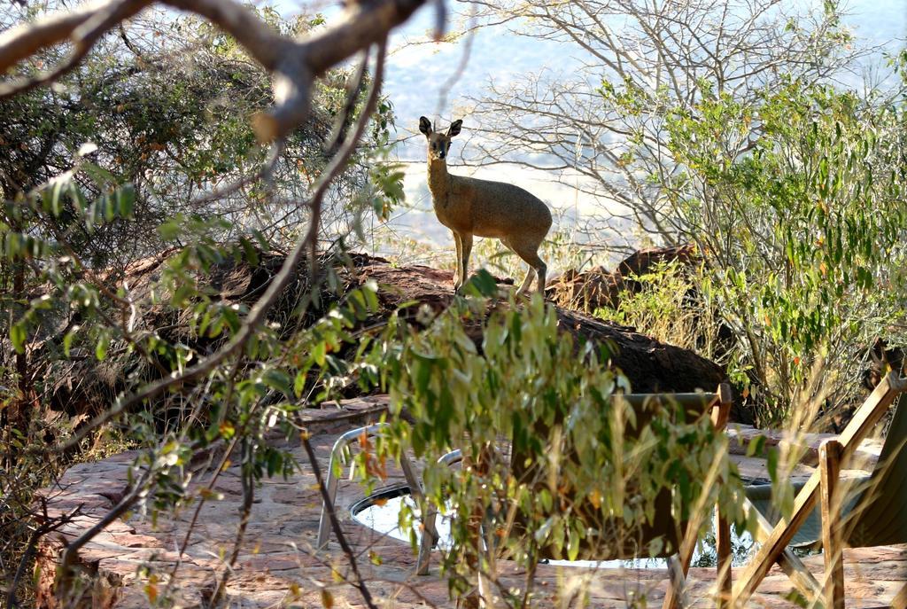Villa Waterberg Wilderness - One Namibia Exterior foto