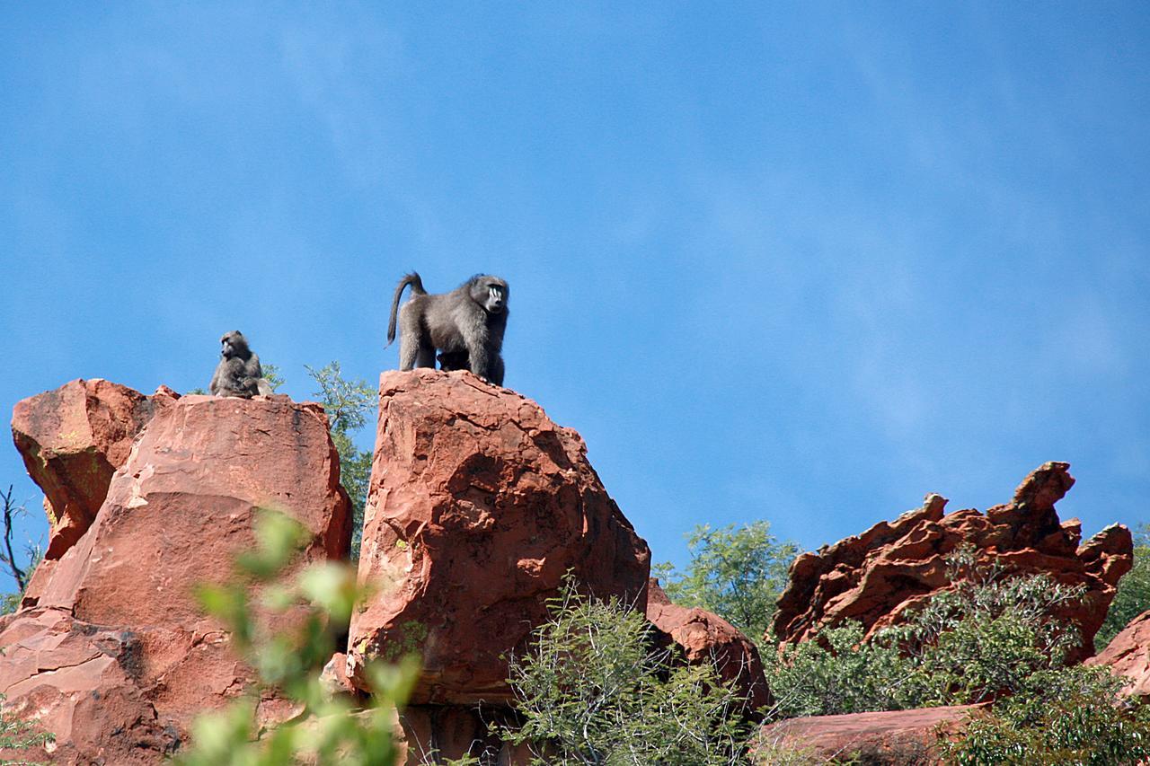 Villa Waterberg Wilderness - One Namibia Exterior foto